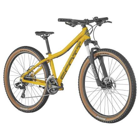Scott Roxter disc gul